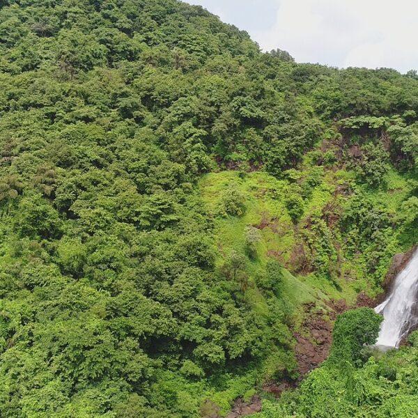 Bamankada / Dhamapur Waterfall