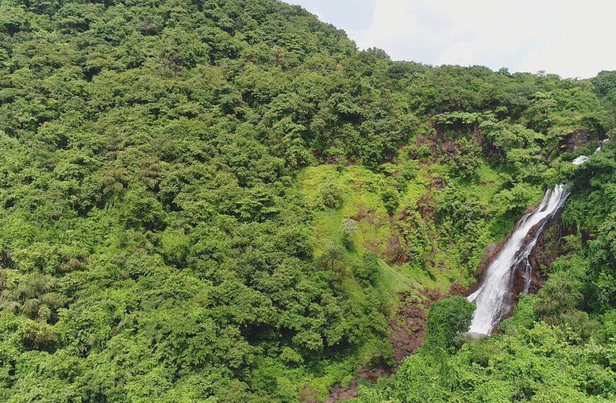 Bamankada / Dhamapur Waterfall