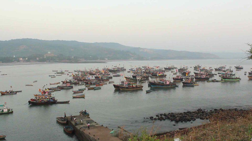 Harnai Port – Experience Live Fish Auction