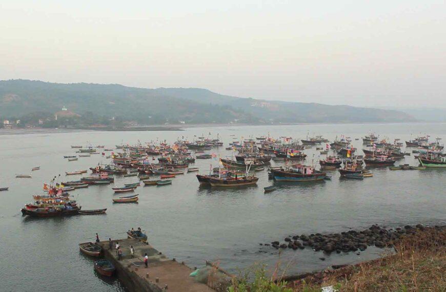 Harnai Port – Experience Live Fish Auction