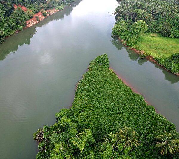 Walaval Creek & Backwaters
