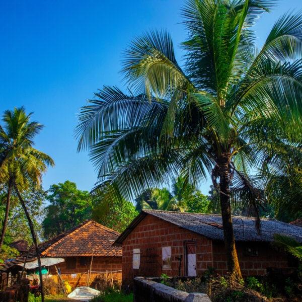 Konkan Lifestyle & Occupations: Culture of Maharashtra’s Coastal Belt