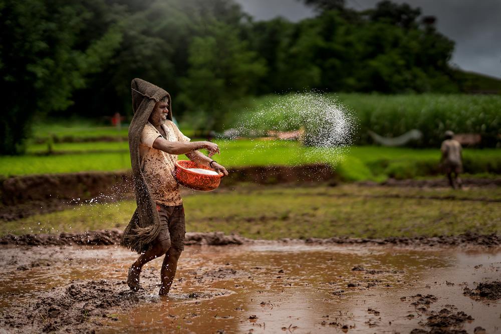 Exploring Konkan’s Traditional Farming Techniques: A Sustainable Legacy