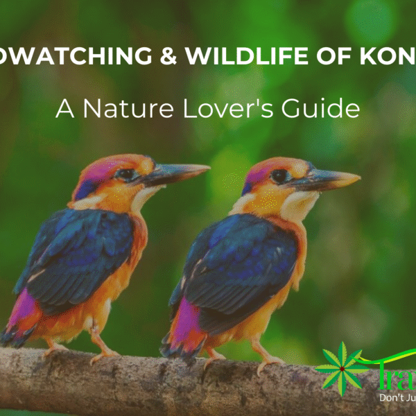Birdwatching and Wildlife of Konkan: A Nature Lover’s Guide